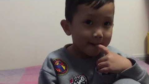 Đố Vui Về Các Con Vật và Học Tên Tiếng Anh Của Các Con Vật