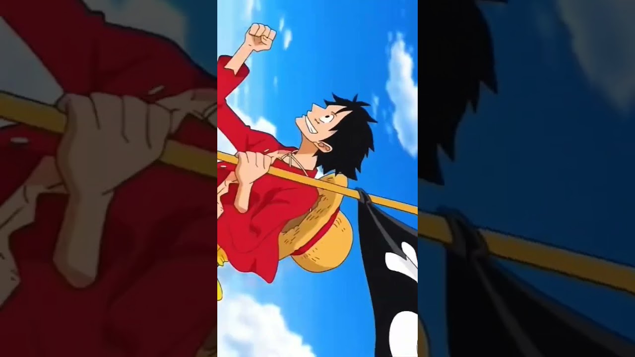 The future king of the pirates crew 