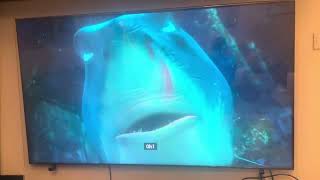 Finding Nemo Oh that’s good scene