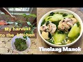 Tinolang Manok / Ilonggo Style / Iloilo&#39;s kitchen