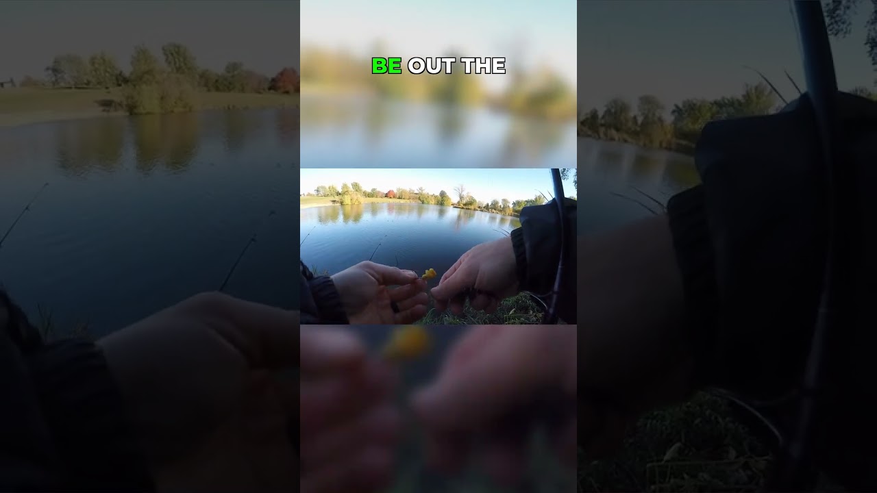 FISHING NIGHTMARE: The Stench of Manure!