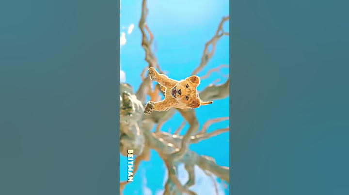 new mufasa the lion King