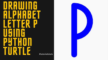 Drawing Alphabet Letter P USING Python Turtle | Tutorials Tuts