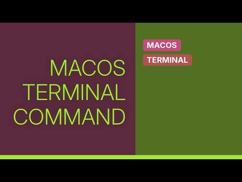 Apple: 'ls' command not working on mac OS Catalina