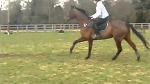 Emma-Littleton XC.wmv