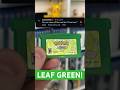 Checking Out a Pokemon Game Save File Together! 😊😊#PokémonLeafGreen #PokémonGBA