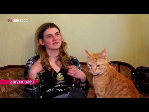 ელის დოჯსონი | ჩვენი ოთხფეხა მეგობრები