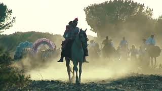 CABALLO MI COMPAÑERO