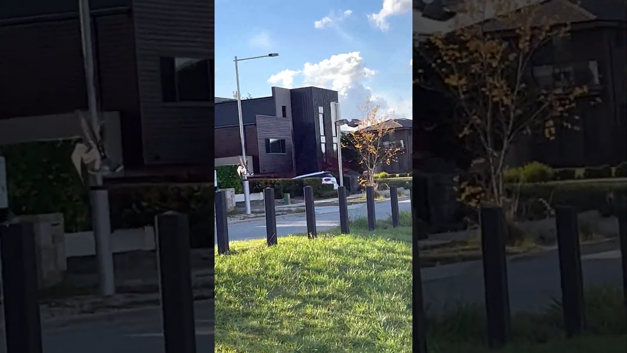 Sound of Flying Australian Crested Pigeons