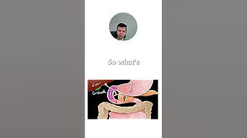 Human digestion 🥩 🍦 for IGCSE Biology 🧬