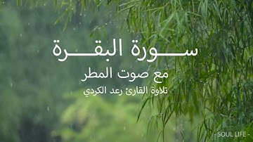 سورة البقرة كاملة بصوت جميل مع صوت المطر بصوت القارئ رعد الكردي Surat AlBgara
