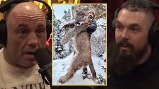 Joe Rogan: CRAZY LION Hunting Story! Former NFL Player Derek Wolfe Shares His Experience!