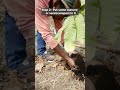 What Is Mulching And What Are Its Benefits What Is Mulching And What Are Its Benefits