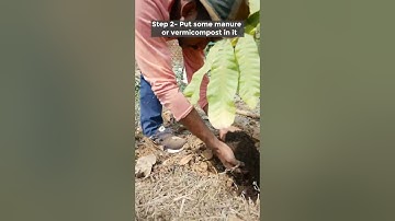 What is mulching and what are its benefits?