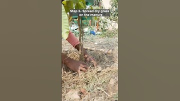 What is mulching and what are its benefits?