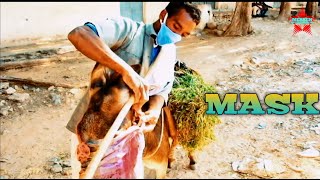 New Eritrean Bilen Comedy *MASK* By Kidane Kaliab