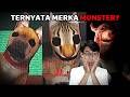 Danacib Plays 3 Games About Pets But Why 3 Horror Game Itch Io Indonesia
