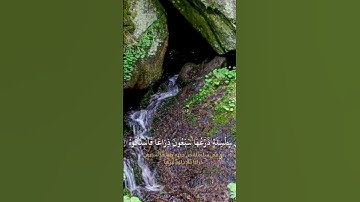 لا اله الا الله. من سورة الحاقة. #quran #اكسبلور #المصحف #لايك #الرحمن #قرآن #راحة_نفسية #البرزخ
