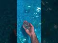 1 000 000            