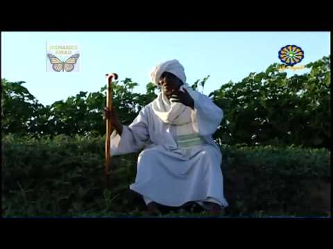 عوض الكريم عبدالله جمال زي ده