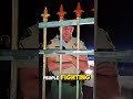 Police Crash Family’s Halloween And Turns The Tables With The Law