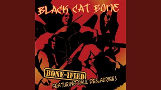 Miniatura de vídeo de "Black Cat Bone - Rambling On My Mind"