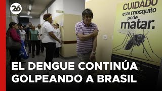 el-dengue-continua-golpeando-a-brasil