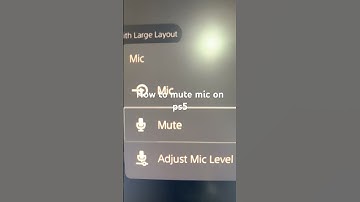 How to mute mic on ps5