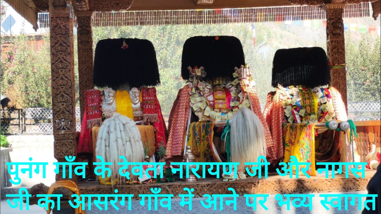 ||The deity of Punang village was given a grand welcome on his arrival in Asrang village||#culture 
