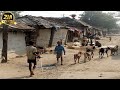 Traditional Rural Village Lifestyle in Nepal - Typical lifestyle of village community Nepal