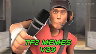 TF2 MEMES V29