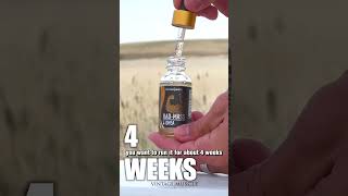 Best Testosterone Precursor