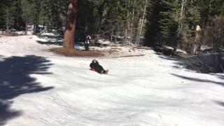 Gina Shreading da sled