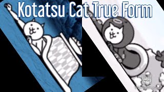 Kotatsu Cat True Form! | Battle Cats Evolutions