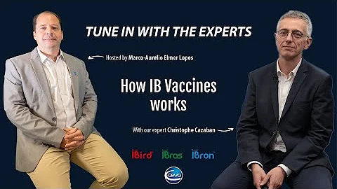 How the Infectious Bronchitis vaccines works (with Christophe Cazaban)