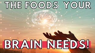 Nutrition and Brain Function | Your Brain NEEDS MEAT!