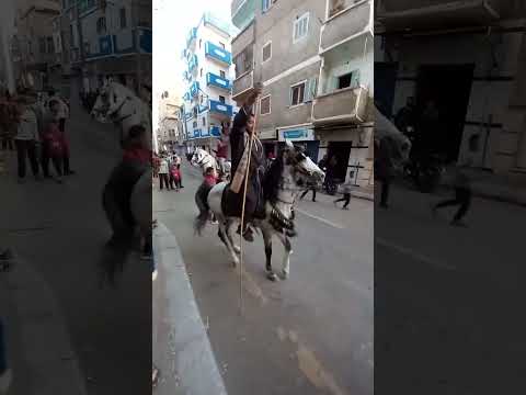 العمده مصطفي عنتر من مولد سيدي عبدالرحيم القناوي