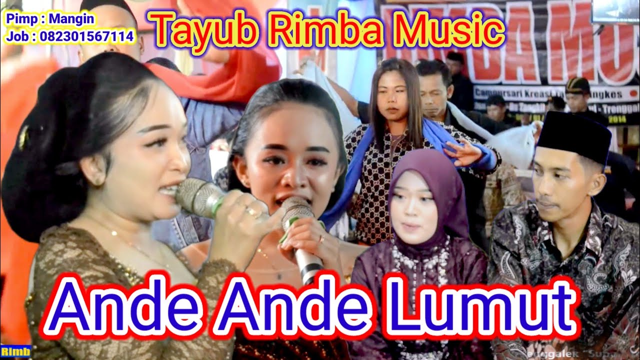 ANDE ANDE LUMUT RIMBA MUSIC DI RUMAH BPK LAMIN KARANGREJO SIDOMULYO PULE