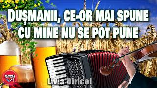 Download Lagu MUZICA DE PETRECERE – LIVIA DIRICEL - DUSMANII, CE-OR MAI SPUNE, CUM MINE NU SE POT PUNE MP3