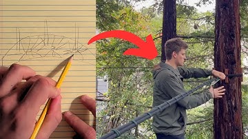 Beginning My Experimental Tree Net