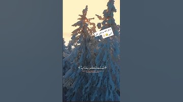 قرآن كريم  ♡ ارح قلبك واستمع #اكسبلور  #لايك