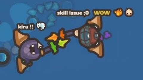 Taming.io 1v1 comp 7