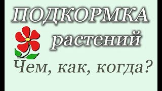 Подкормка растений: чем, как, когда? Системный подход. Подробно.