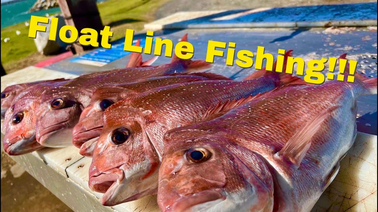 Float Line Fishing!! 