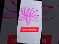 Lotus Drawing #art #shortsfeed #floraart