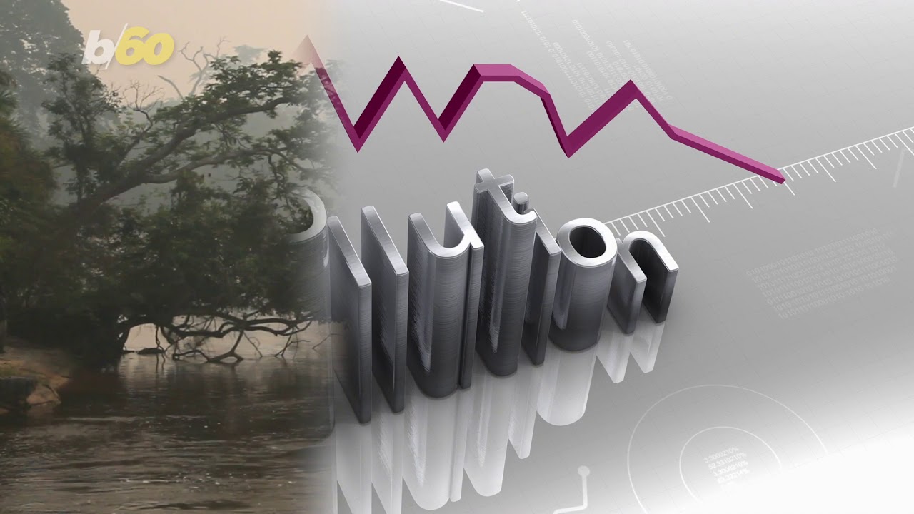 FDA Approves New Drug That Makes Cow Poo Stink Less