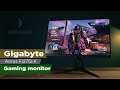 Gigabyte Aorus FI27Q-X Gaming Monitor Review