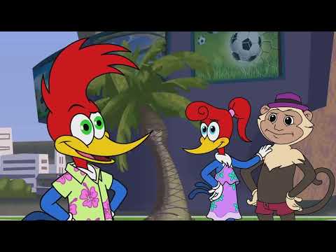 Woody Woodpecker | Funny Woody Woodpecker Moments Compilation | Animated Kids Cartoons