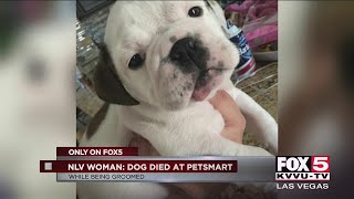 NLV Woman Says Her Dog Died At PetSmart NLV Woman Says Her Dog Died At PetSmart