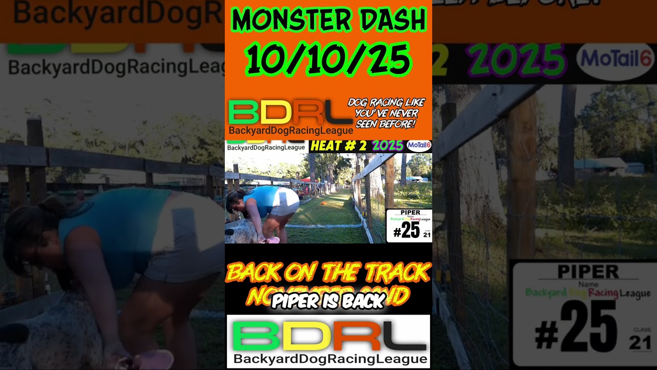 Dog Race Drama: Suki, Piper, and Lena's Battle for the Title! 